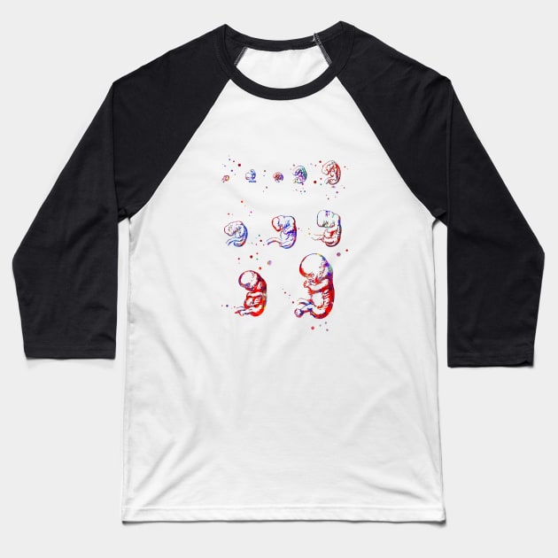 Cephalic position Baseball T-Shirt by RosaliArt